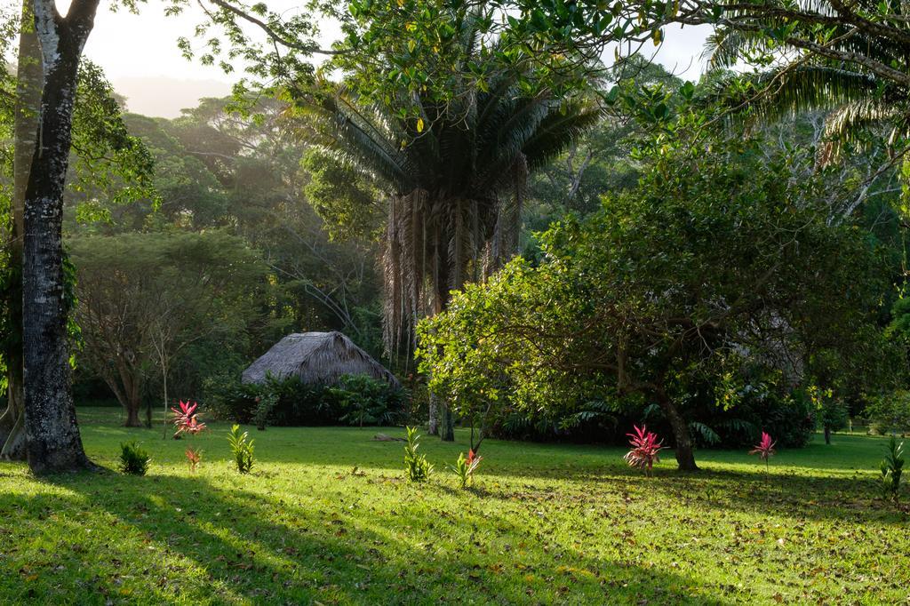 Bocawina Rainforest Resort Hopkins Exteriör bild