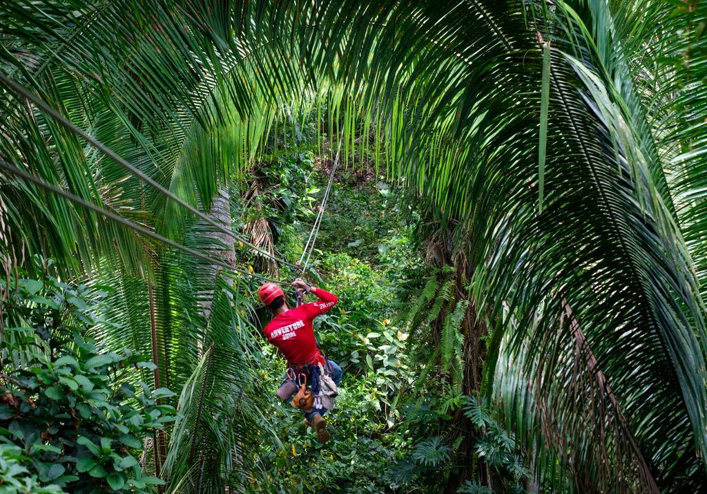 Bocawina Rainforest Resort Hopkins Exteriör bild